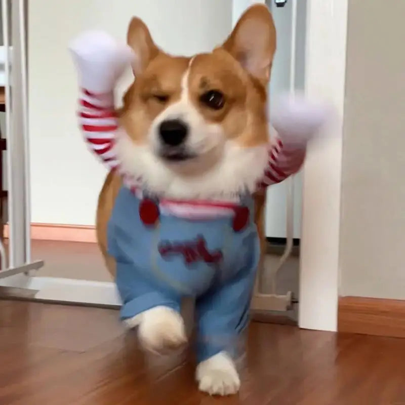 Chucky Dog Halloween Costume Fashion Funny Horror Movie Pet Party Outfit Comical Sweatshirt Set Dog Jumpsuit for Comical Effect